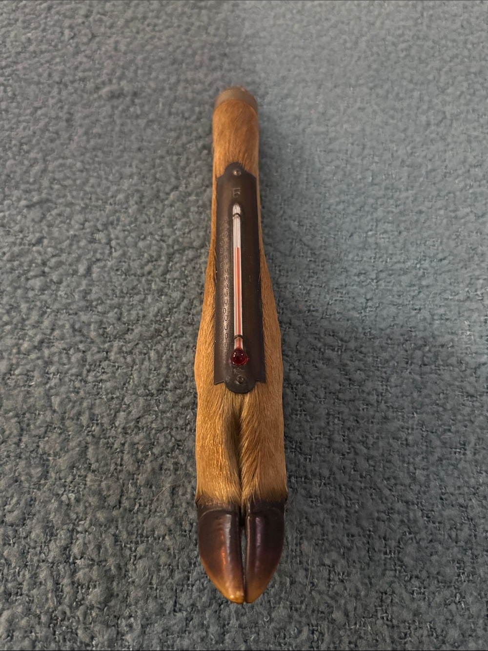 Vintage Deer Hoof Thermometer - Brown Fur